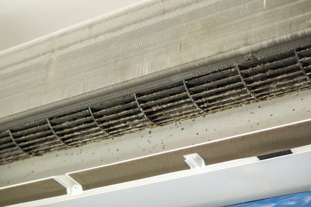 Best Home Air Vent Cleaning  in Sleepy Hollow, IL